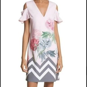 Pink Floral Chevron Ted Baker Dress